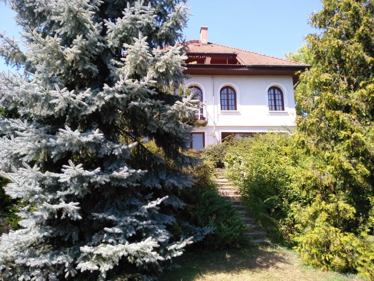 Co-Housing Community Otel Budakalász Dış mekan fotoğraf